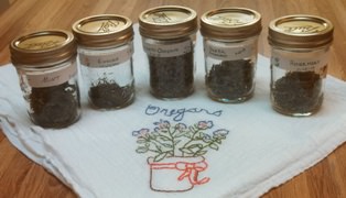 Jars of dried herbs