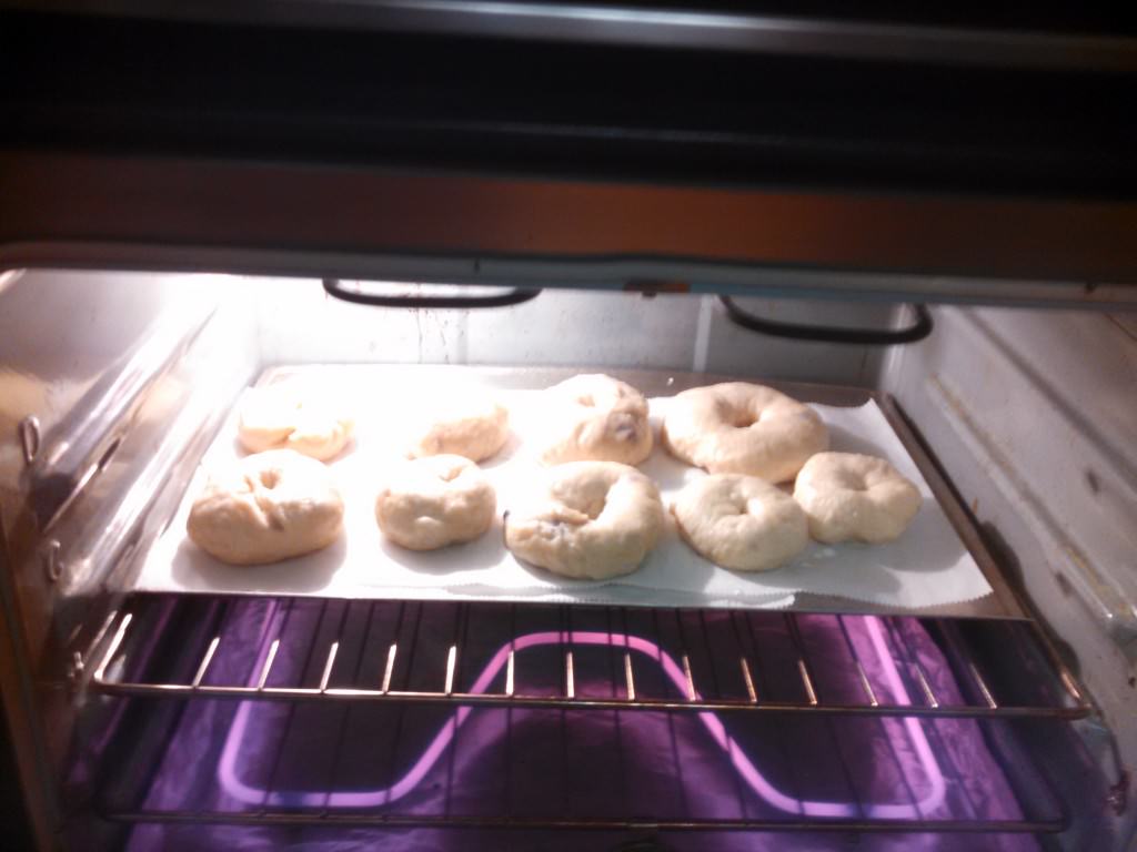 Baking Bagels after boiling_018 cookbookinabox® The Art of Gourmet
